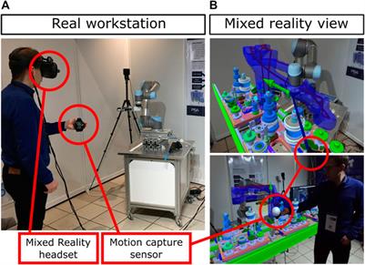Using Physics-Based Digital Twins and Extended Reality for the Safety and Ergonomics Evaluation of Cobotic Workstations